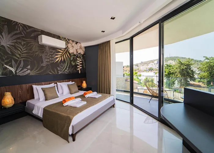 Safran County * 卡斯