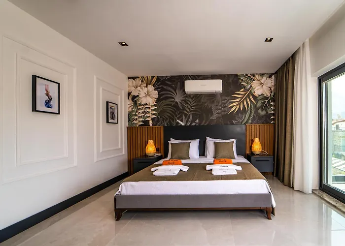 Safran County * 卡斯